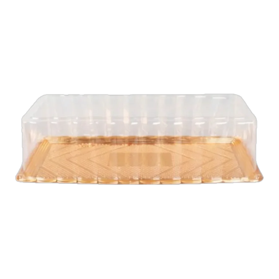 Tray with lid 32 × 17 × 10 cm